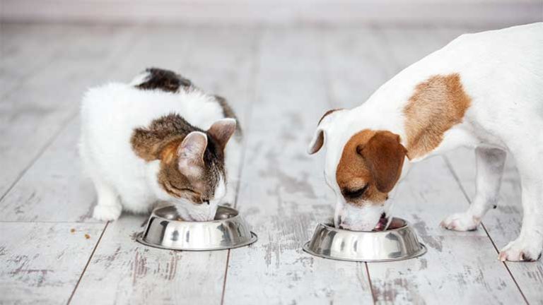 Glyphosate’s Reach Now Extends to Pet Food