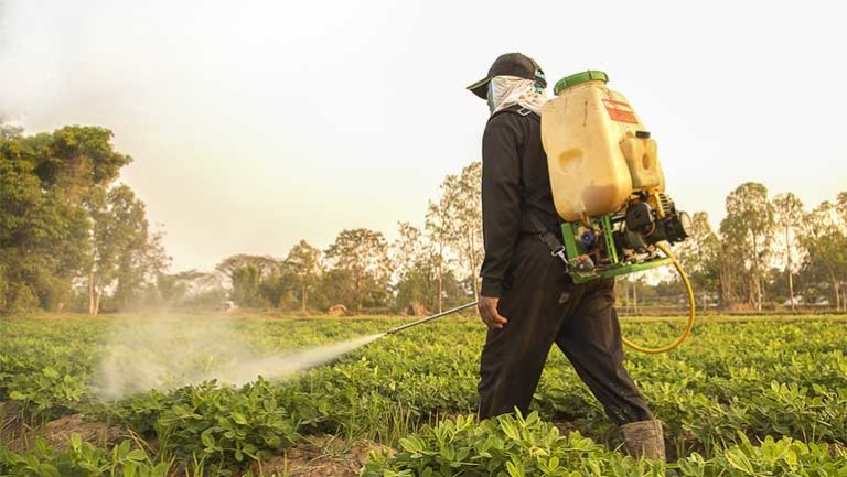 Worker Applying Weed Killer